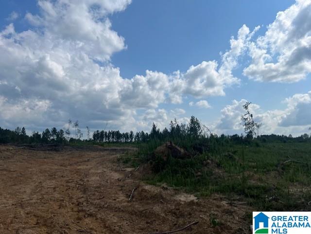 11482 Camp Oliver Road Adger, AL 35006 - Photo 35 of 48