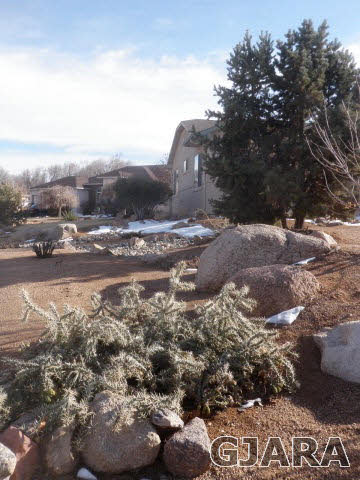 672 Long Rifle Road Grand Junction, CO 81507 - Photo 12 of 21 Gallery Image 12