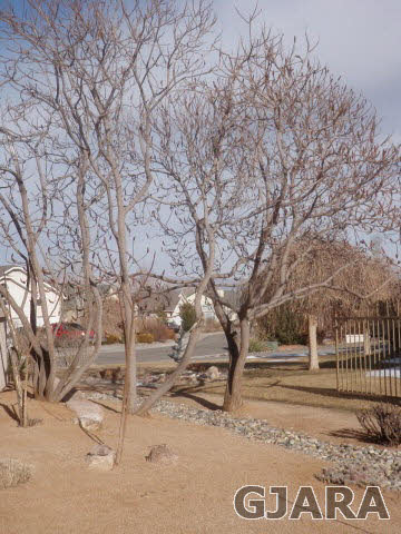 672 Long Rifle Road Grand Junction, CO 81507 - Photo 14 of 21 Gallery Image 14