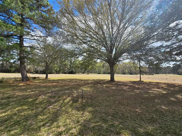 a view of outdoor space with trees