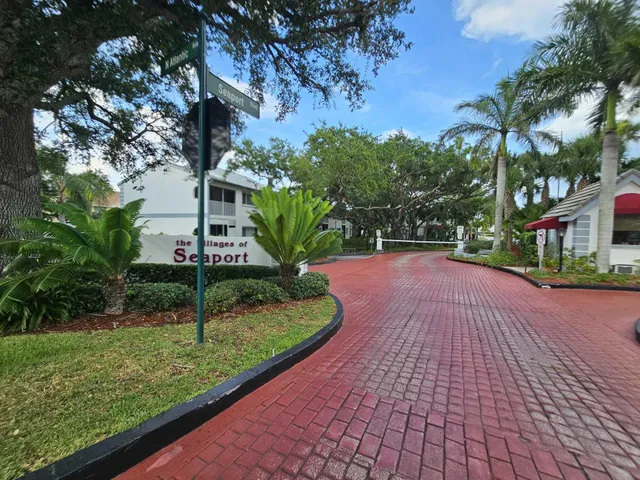 a view of a yard with plants and a palm tree