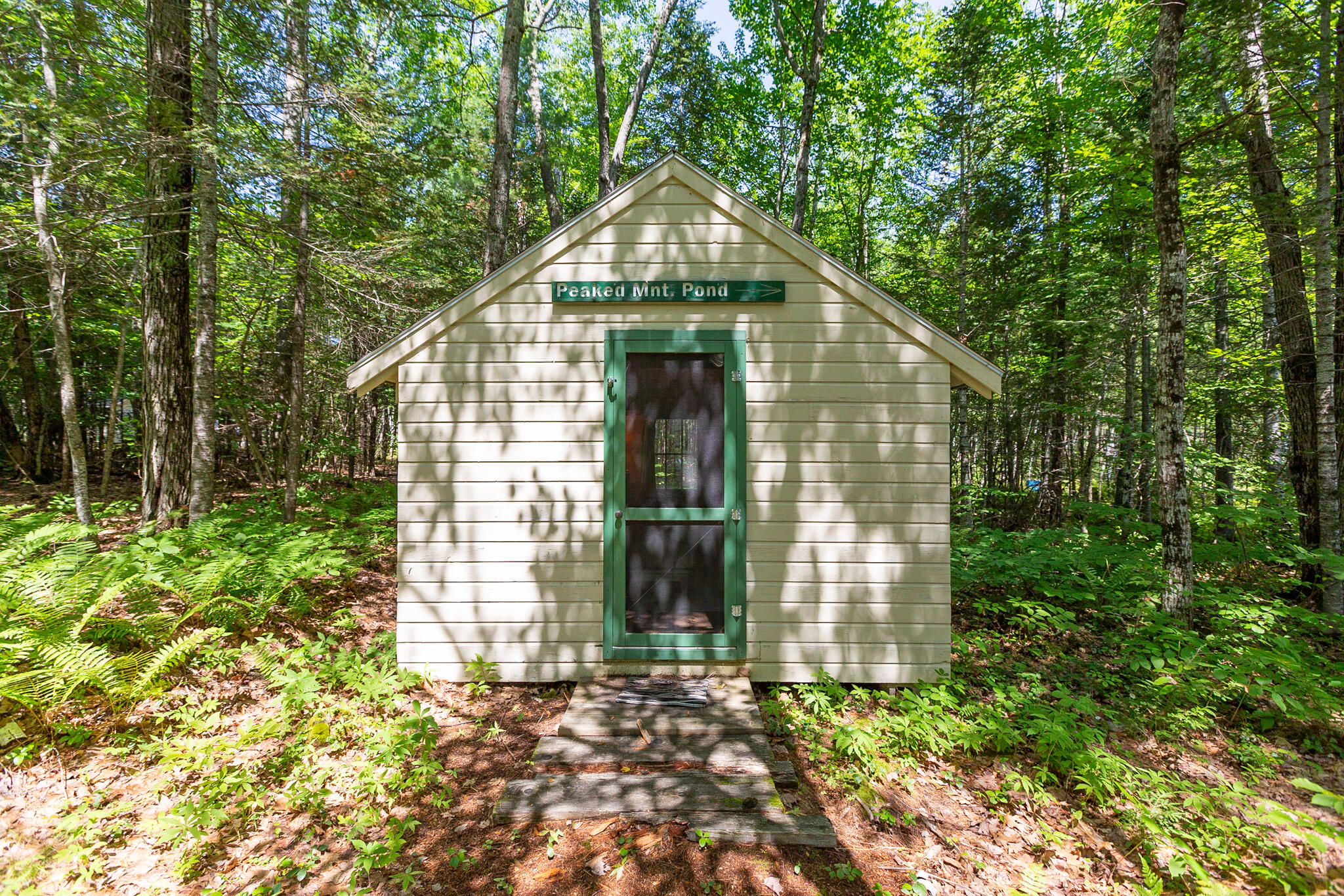 19 Johnson Road Standish, ME 04084 - Photo 18 of 25 19 Johnson Rd_Bunkhouse