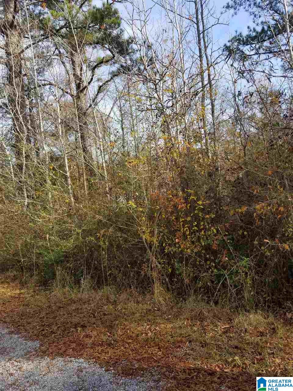 0 Old Creek Road, Unit 1 Ohatchee, AL 36271 - Photo 6 of 8