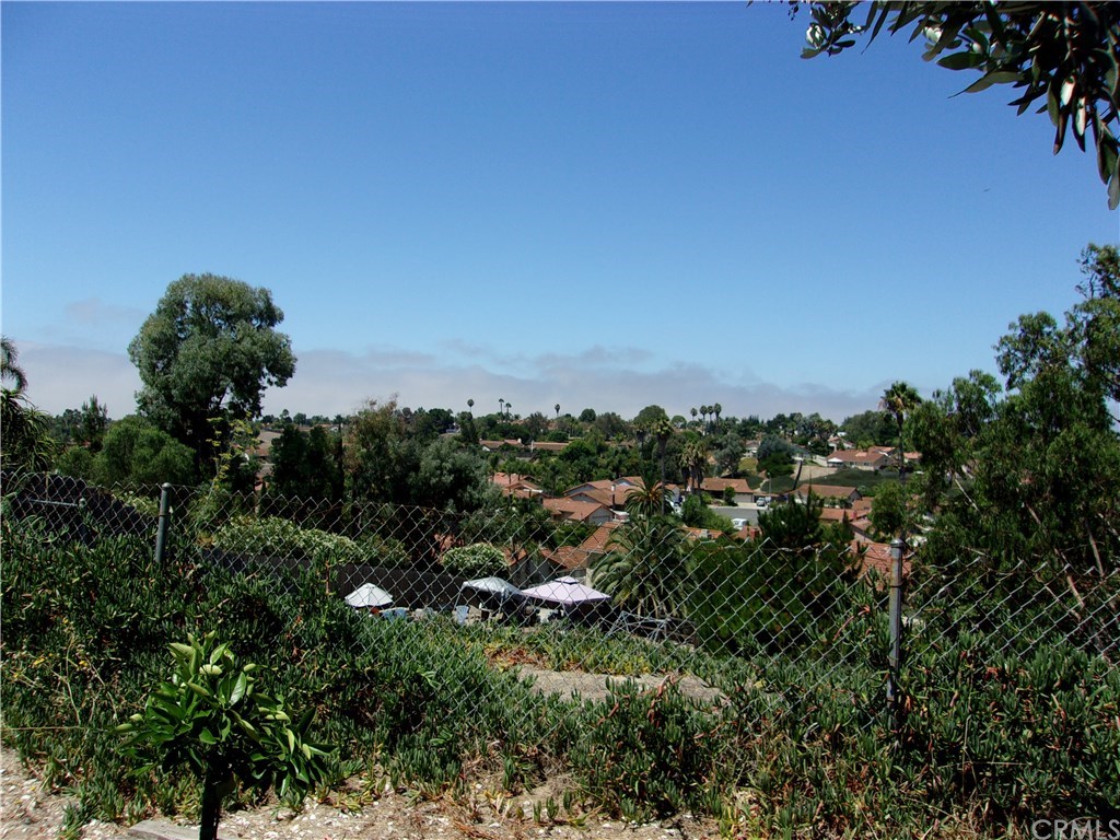 1377 Panorama Ridge Road Oceanside, CA 92056 - Photo 31 of 34 Gallery Image 31