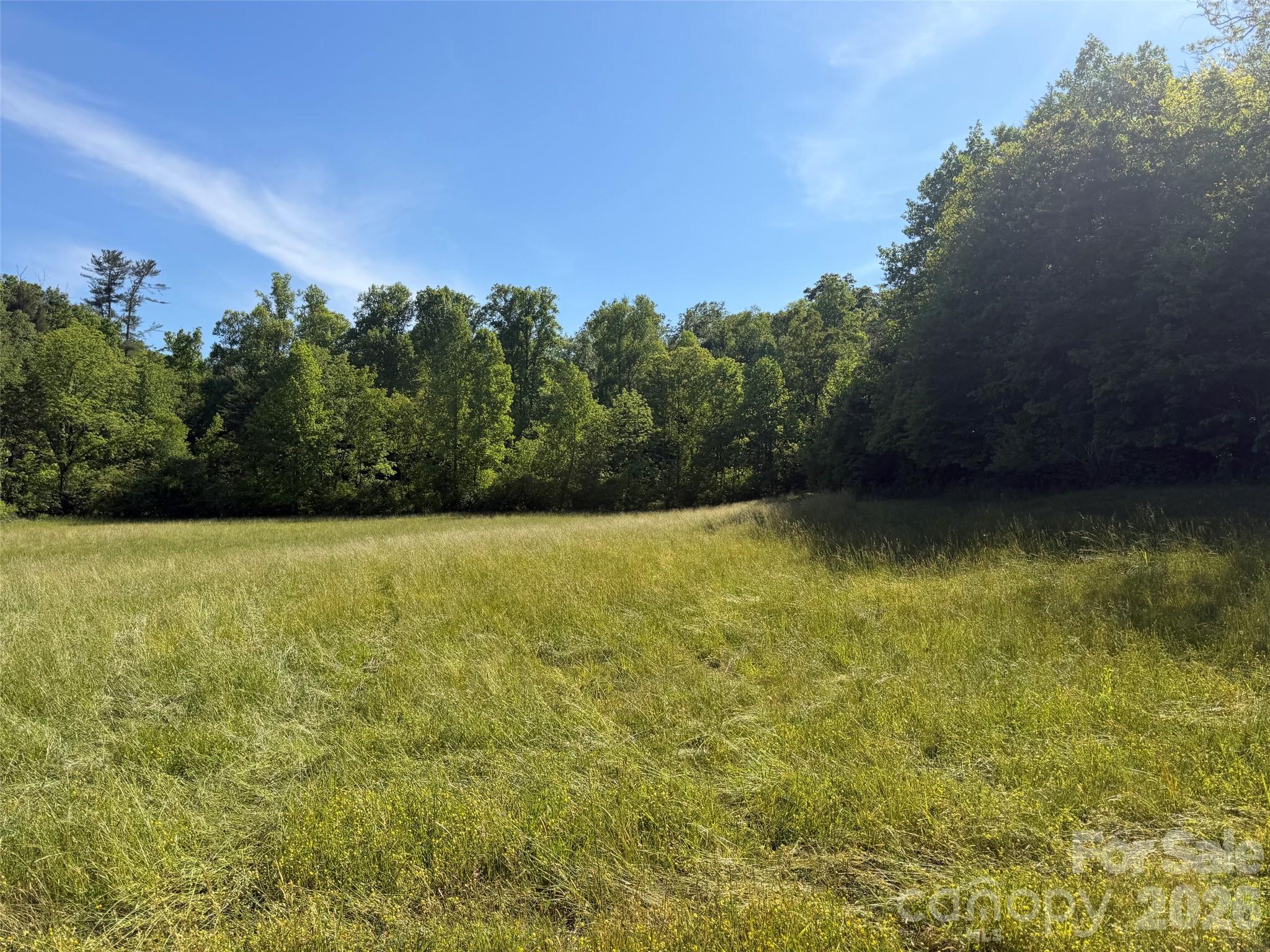 Lot 11 Parker Padgett Road Old Fort, NC 28762 - Photo 2 of 4