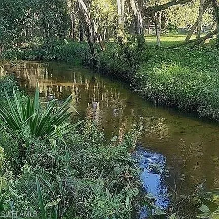 a view of a yard with plants and large tree