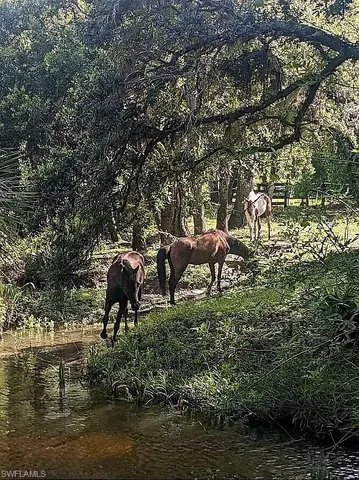 an aerial view of a house with a yard and lake view