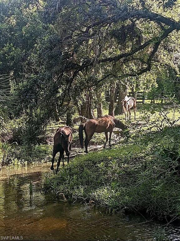 23261 Tuckahoe Road Alva, FL 33920 - Photo 11 of 39 a view of a garden