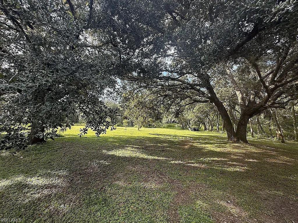 23261 Tuckahoe Road Alva, FL 33920 - Photo 12 of 39 a view of yard with swimming pool and trees