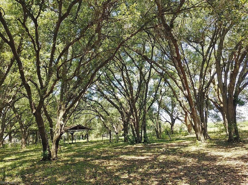 23261 Tuckahoe Road Alva, FL 33920 - Photo 13 of 39 a view of outdoor space with trees all around