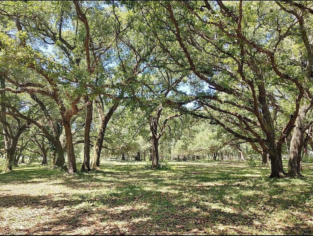 23261 Tuckahoe Road Alva, FL 33920 - Photo 15 of 39 a view of a field with trees