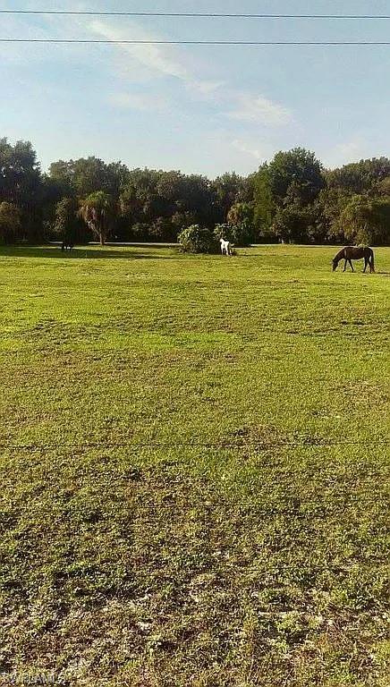 23261 Tuckahoe Road Alva, FL 33920 - Photo 16 of 39 a view of a lake view and mountain view
