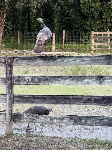 a view of a lake view and mountain view