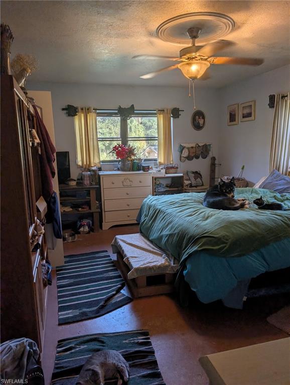 23261 Tuckahoe Road Alva, FL 33920 - Photo 22 of 39 a bedroom with furniture and a large mirror