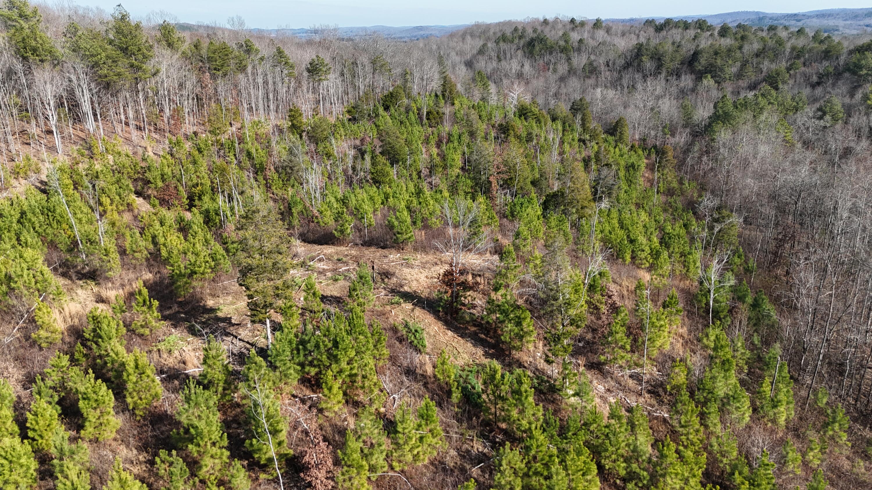 0 Big Sewee Road Decatur, TN 37322 - Photo 13 of 23 DJI_20251212132644_0127_D