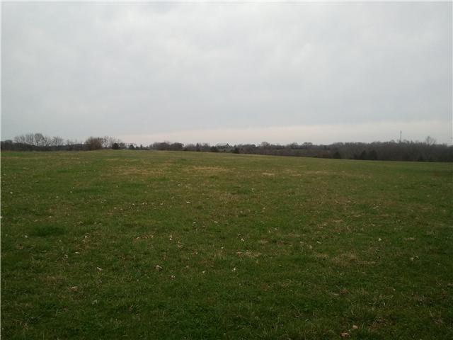 300A Governor Hall Road Castalian Springs, TN 37031 - Photo 10 of 14 GREAT VIEWS
