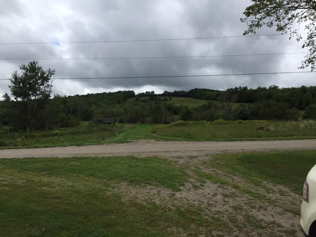 181 Littlefield Road Jackson, ME 04921 - Photo 27 of 29 View Across Road