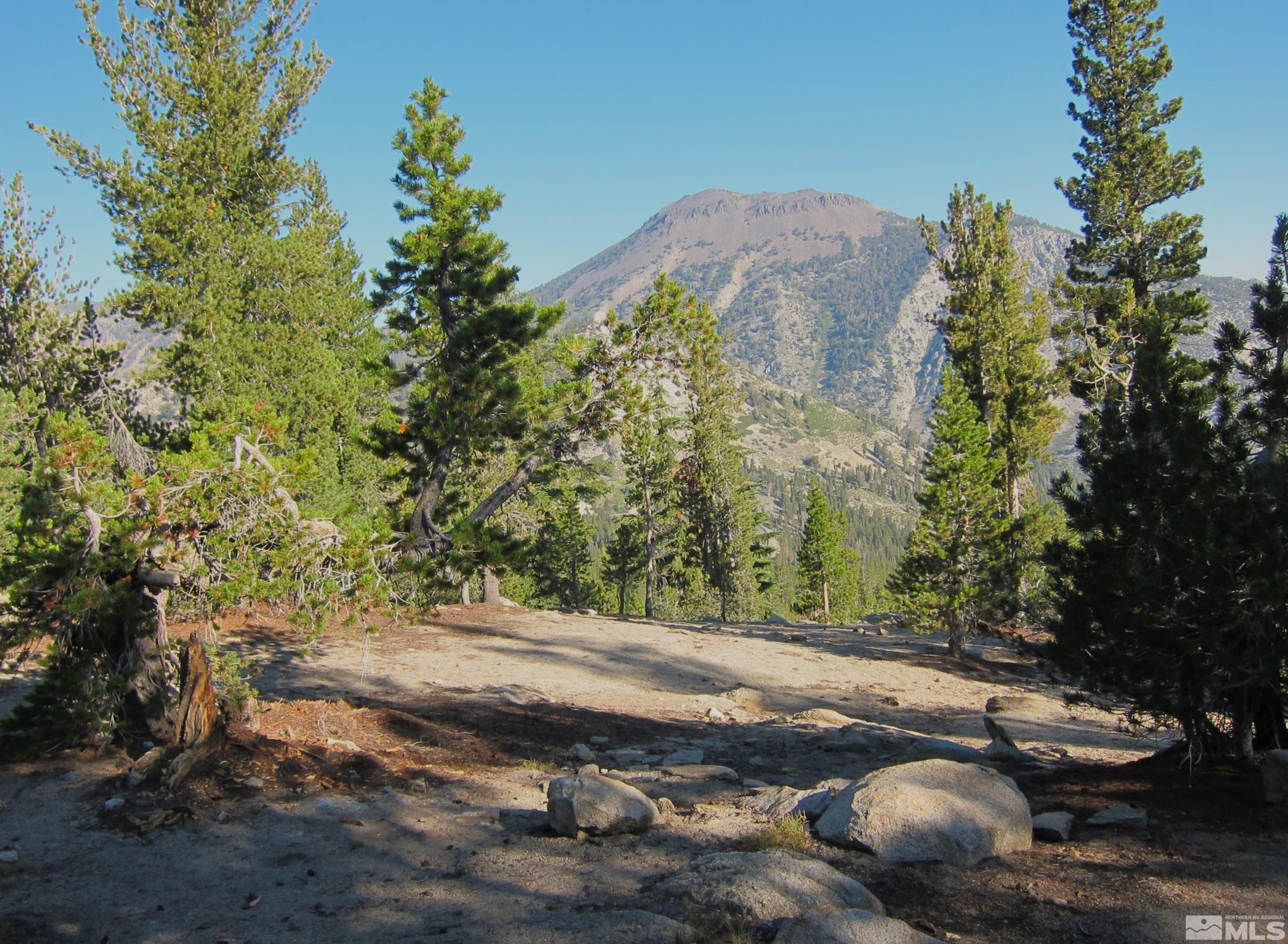 16770 Mt Rose Highway, Unit A & B Reno, NV 89511 - Photo 39 of 40 a backyard of a house with large trees