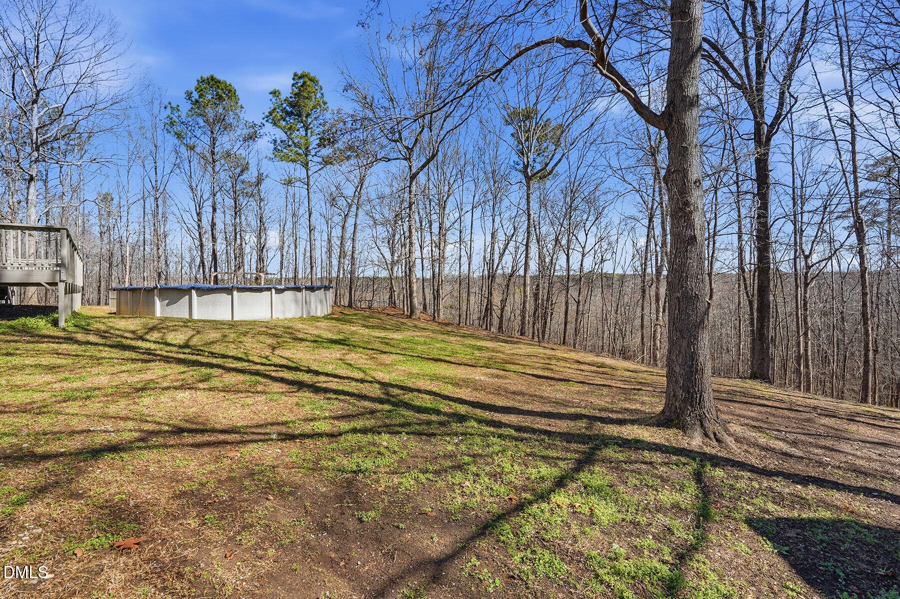 90 Spring Leaf Lane Wendell, NC 27591 - Photo 28 of 37 a view of a backyard with large trees