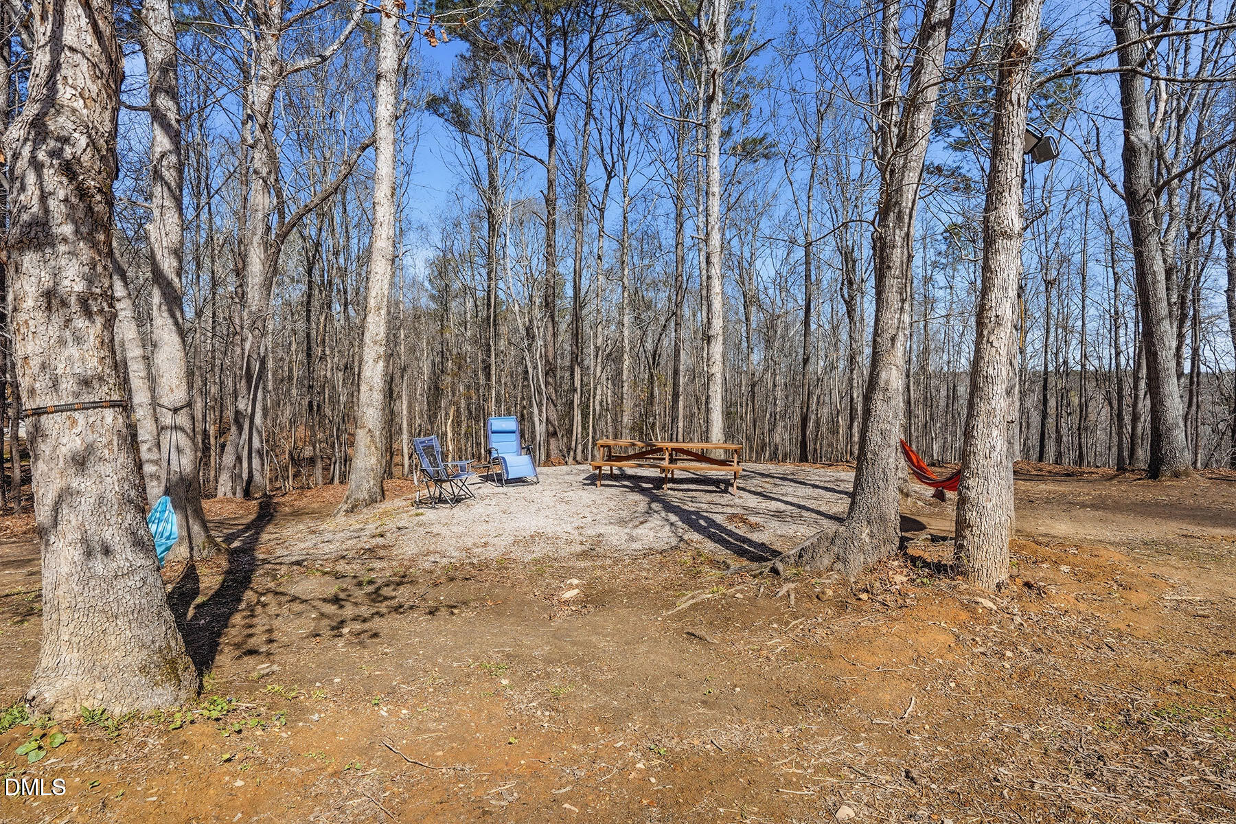90 Spring Leaf Lane Wendell, NC 27591 - Photo 33 of 37 a view of a backyard with large trees
