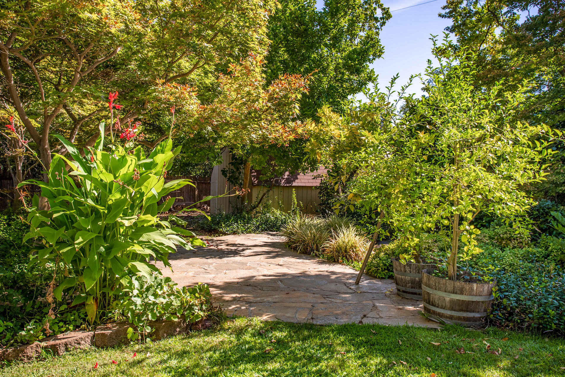 6767 Riata Drive Redding, CA 96002 - Photo 26 of 30 87 Backyard