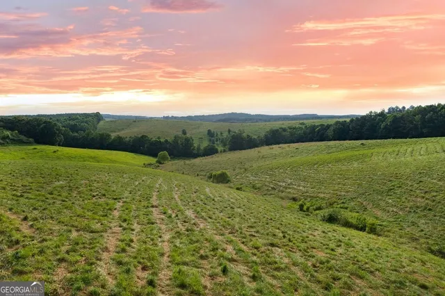 $175,000 | 339 Cavender Lane, Bowdon, GA 30108