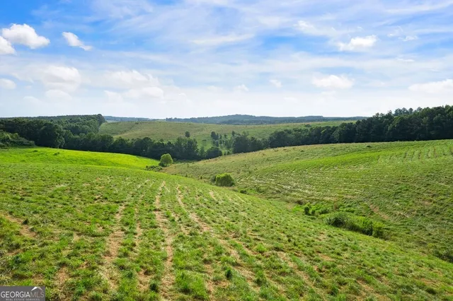 $175,000 | 339 Cavender Lane, Bowdon, GA 30108