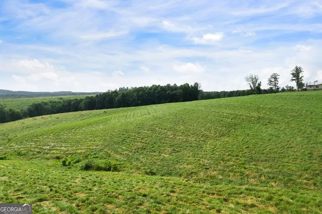 $175,000 | 339 Cavender Lane, Bowdon, GA 30108