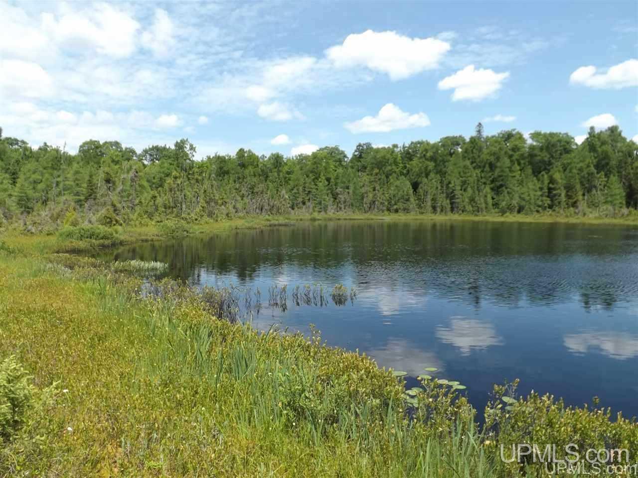 Tbd South Olson Lake Road Michigamme, MI 49861 - Photo 15 of 25
