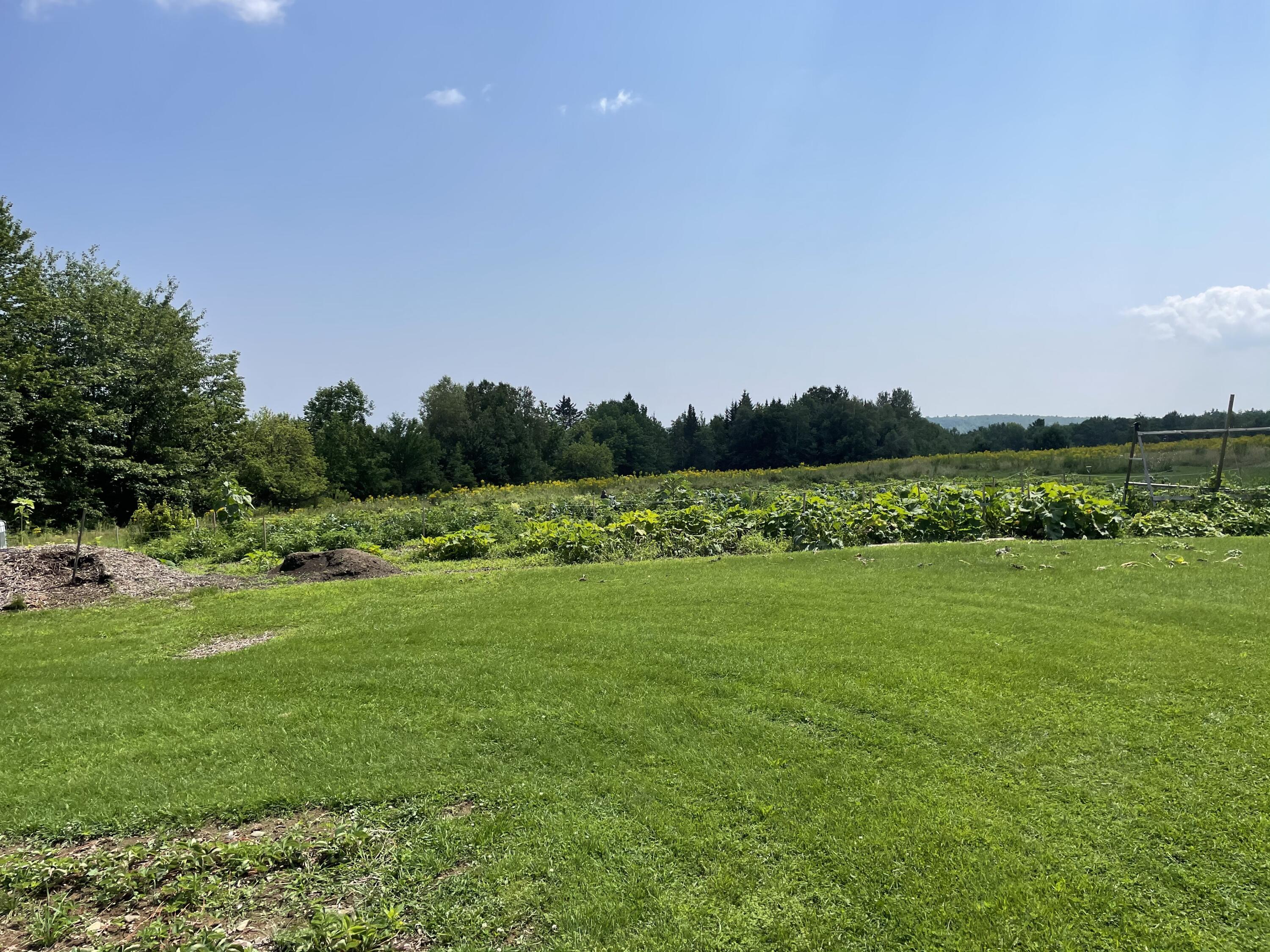 Lot 11 Nickerson Road Swanville, ME 04915 - Photo 5 of 5 47FFB013-8CA4-4A67-ADEF-65FD49F3608B
