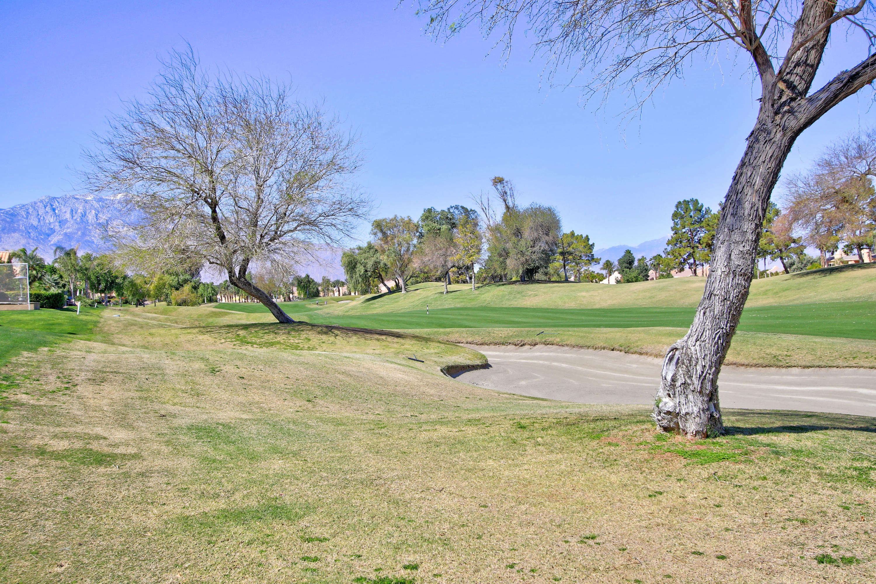 36 Pine Valley Drive Rancho Mirage, CA 92270 - Photo 36 of 57 a view of a yard with a tree