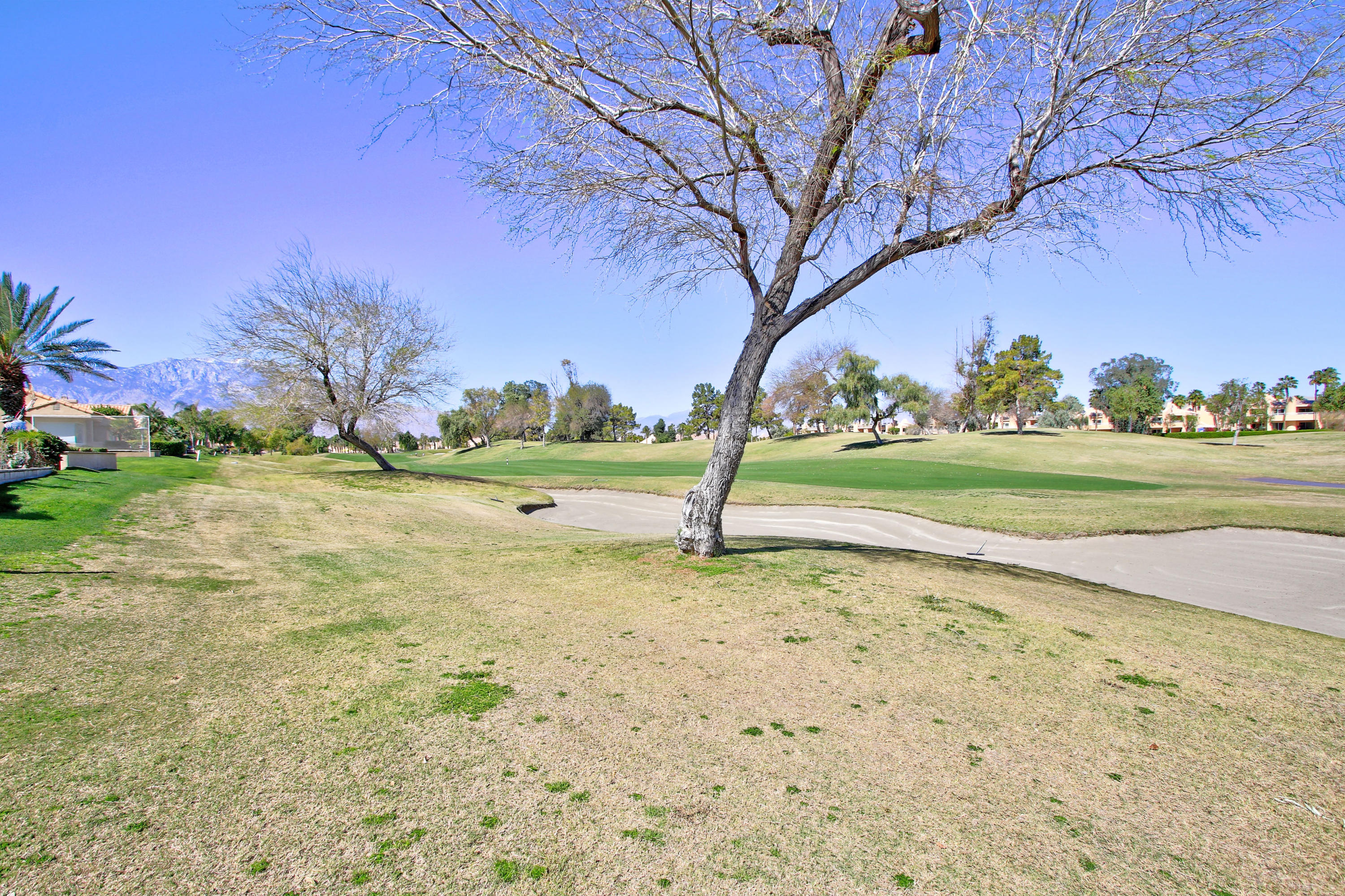 36 Pine Valley Drive Rancho Mirage, CA 92270 - Photo 39 of 57 a view of a yard with a tree