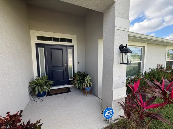 a potted plant sitting in front of a house