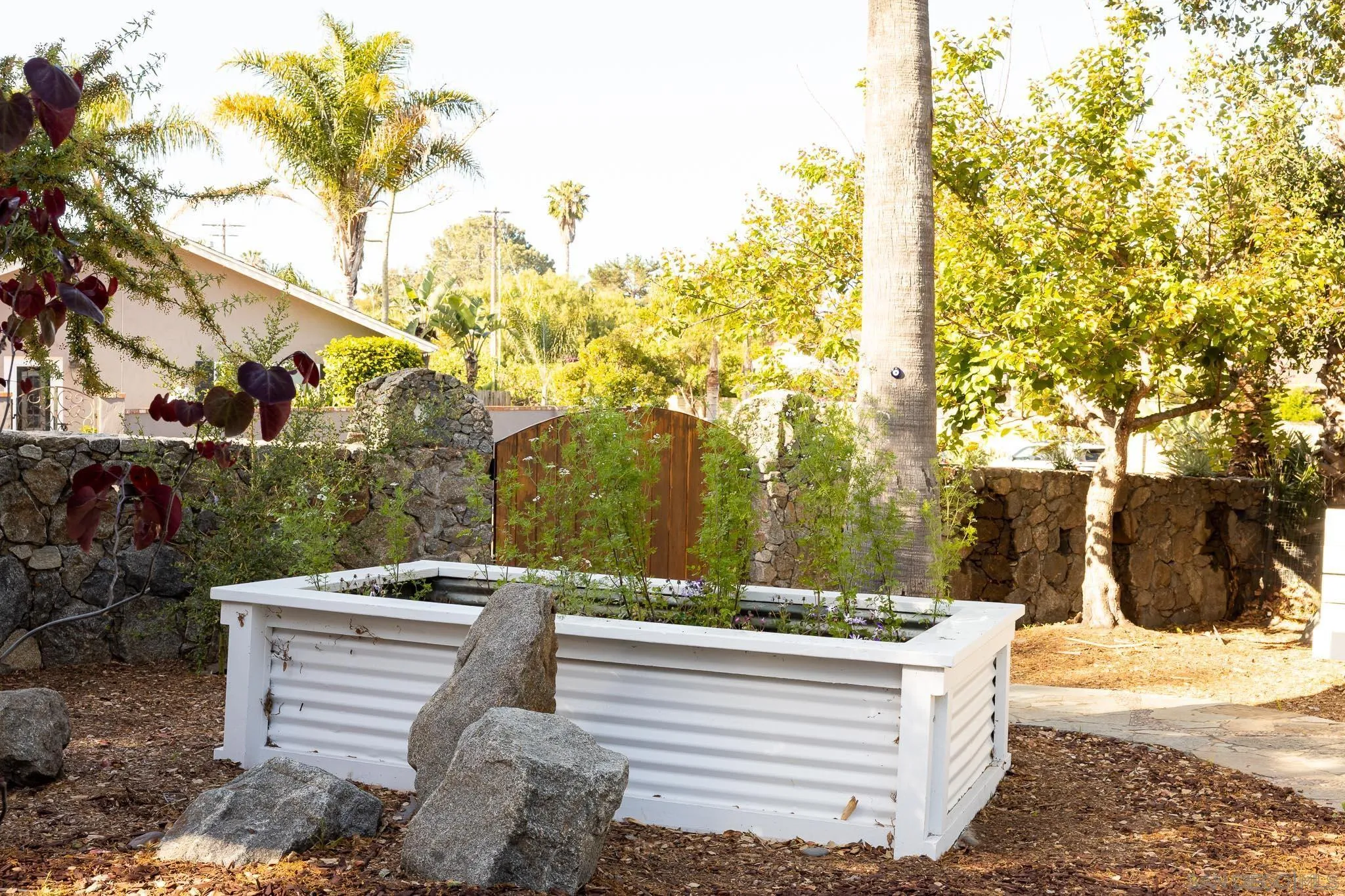1496 Hymettus Avenue Encinitas, CA 92024 - Photo 50 of 53 a view of a yard with plants and a fountain