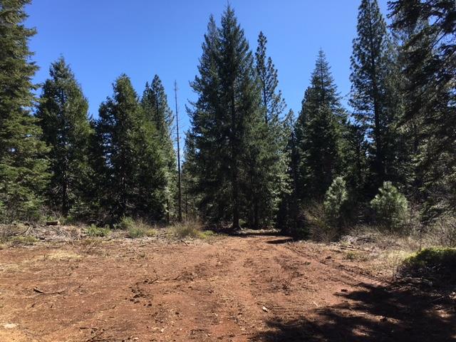 22281 Back Bone Road Nevada City, CA 95959 - Photo 9 of 9