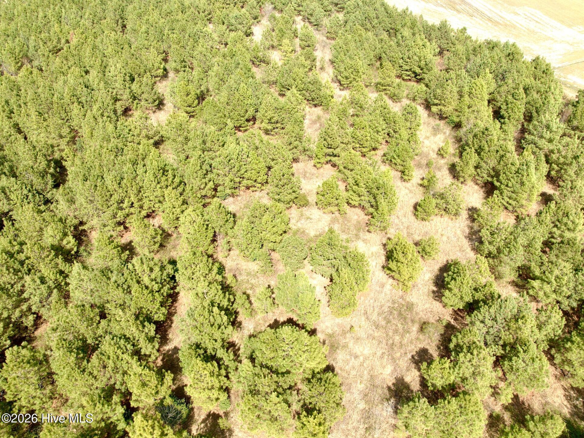 0 Mingle Road Gates, NC 27937 - Photo 11 of 33 10