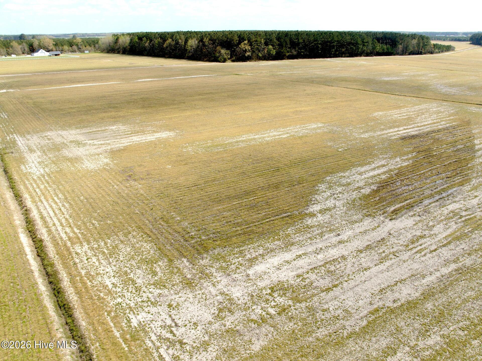 0 Mingle Road Gates, NC 27937 - Photo 12 of 33 109.79 ac - 1