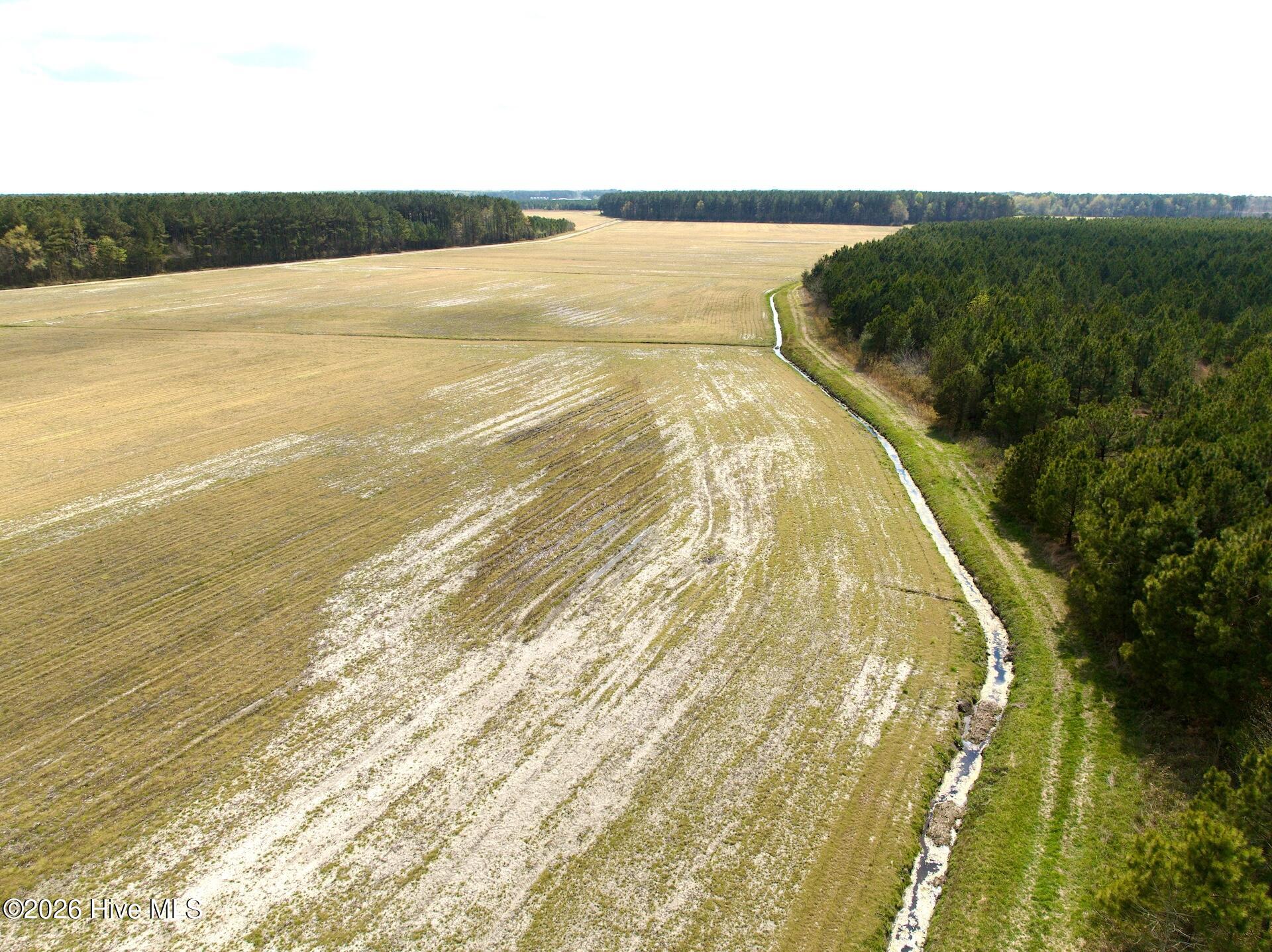 0 Mingle Road Gates, NC 27937 - Photo 13 of 33 109.79 ac - 2