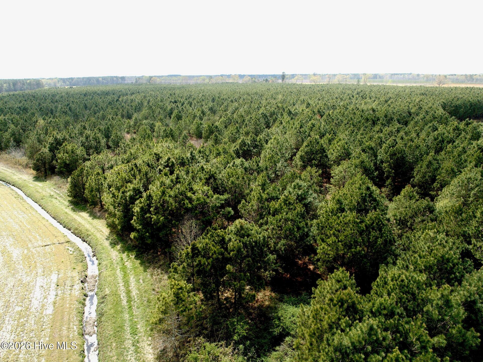 0 Mingle Road Gates, NC 27937 - Photo 14 of 33 109.79 ac - 3