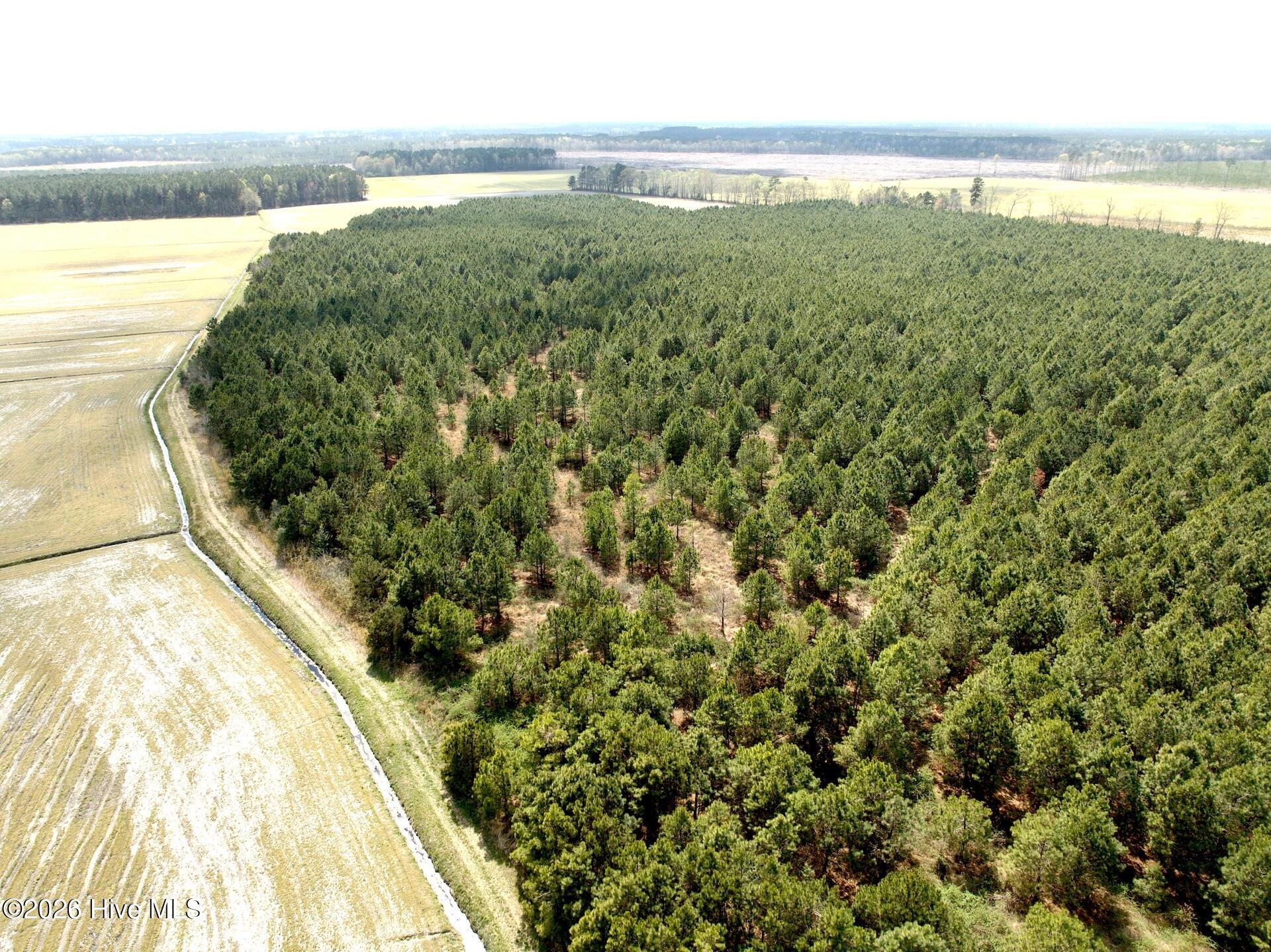 0 Mingle Road Gates, NC 27937 - Photo 15 of 33 109.79 ac - 4