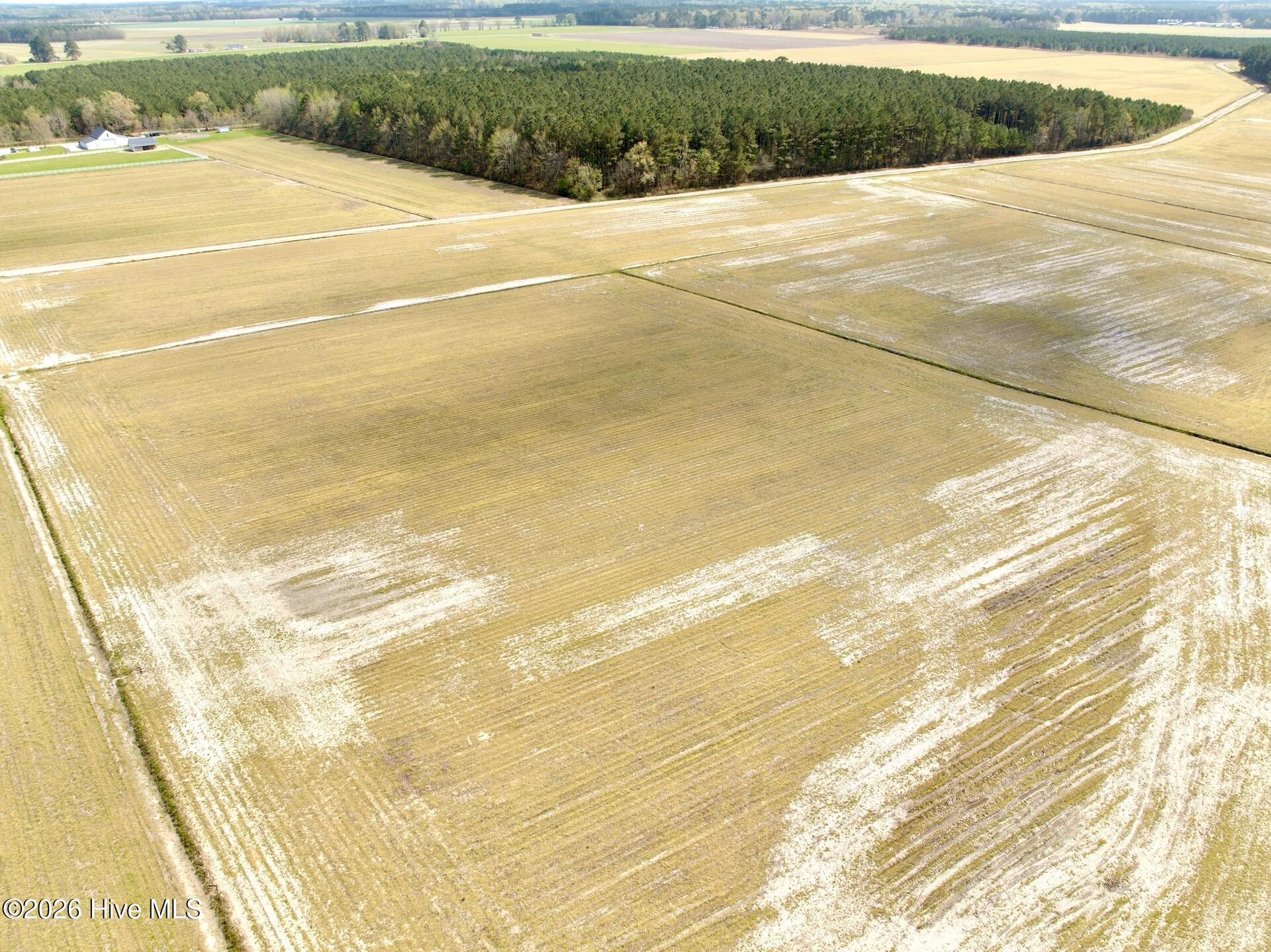 0 Mingle Road Gates, NC 27937 - Photo 16 of 33 109.79 ac - 5