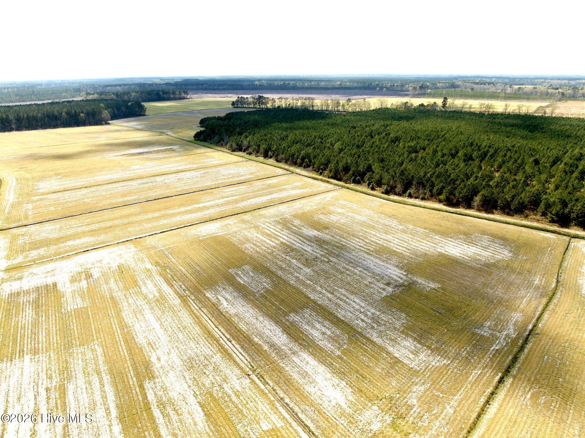 0 Mingle Road Gates, NC 27937 - Photo 17 of 33 109.79 ac - 7