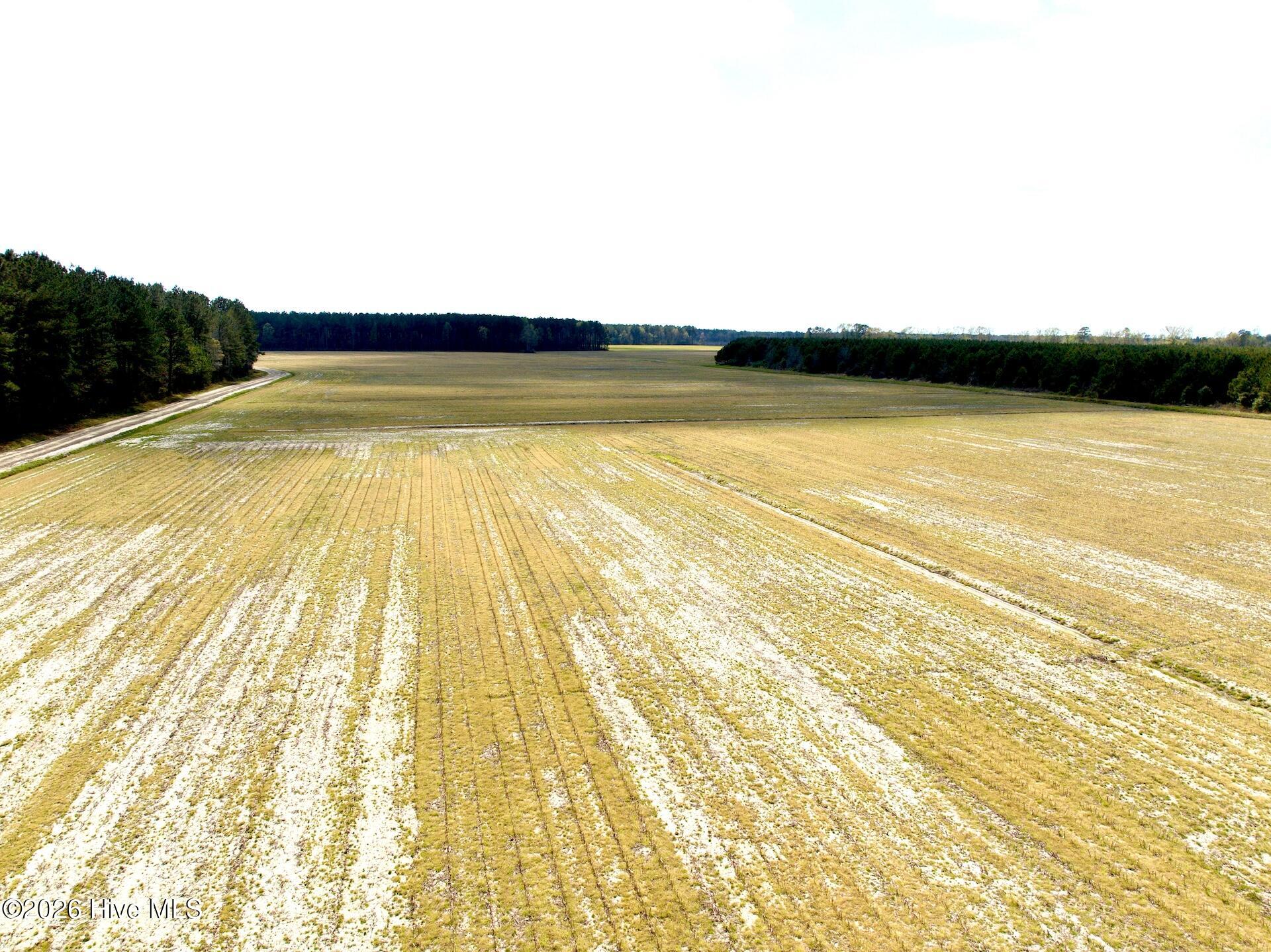 0 Mingle Road Gates, NC 27937 - Photo 18 of 33 109.79 ac - 9