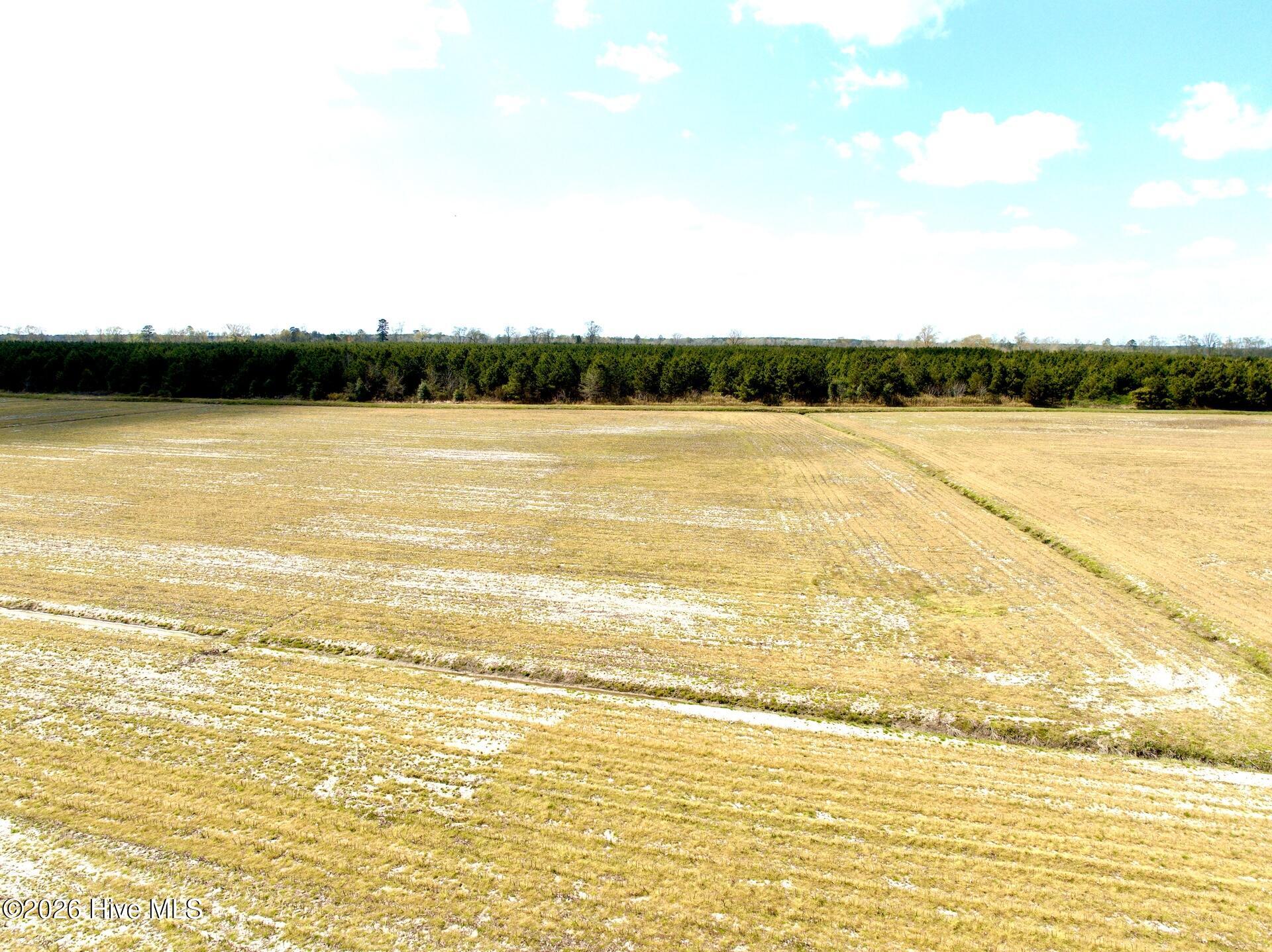 0 Mingle Road Gates, NC 27937 - Photo 19 of 33 109.79 ac - 10