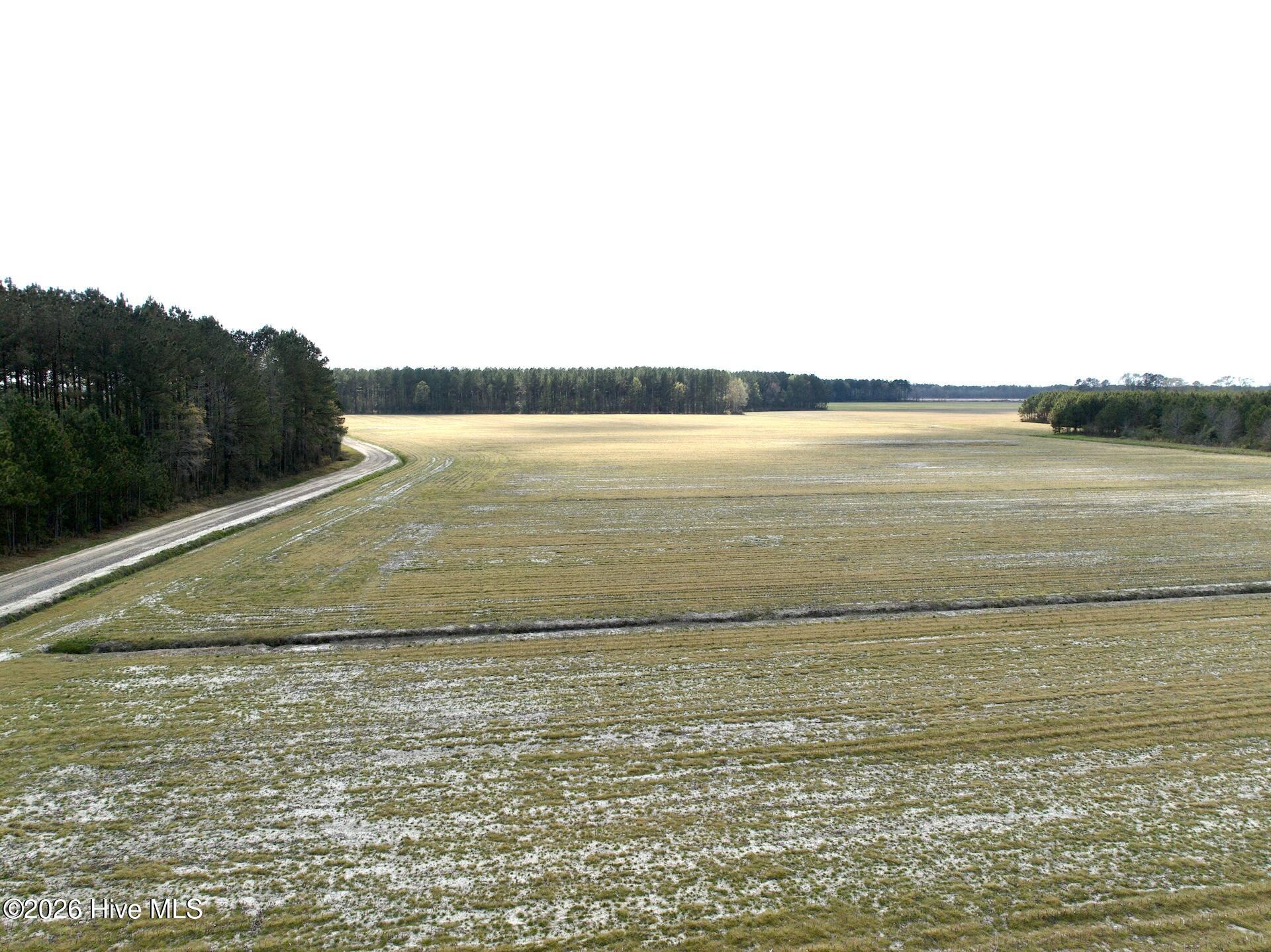 0 Mingle Road Gates, NC 27937 - Photo 20 of 33 109.79 ac - 12