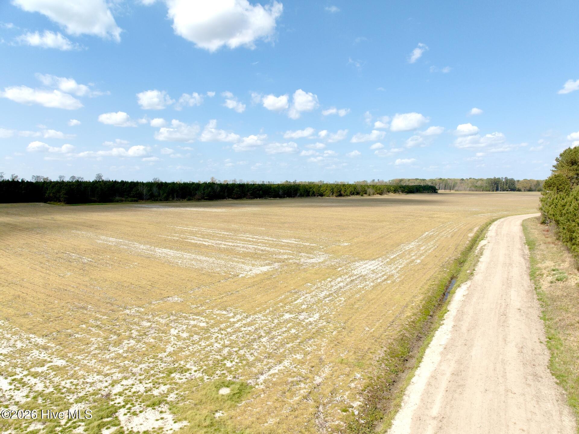 0 Mingle Road Gates, NC 27937 - Photo 2 of 33 2