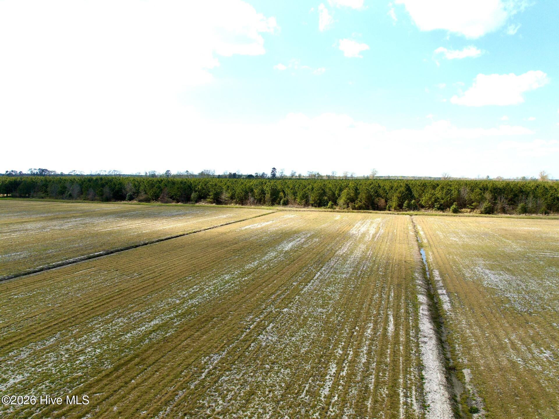 0 Mingle Road Gates, NC 27937 - Photo 21 of 33 109.79 ac - 13