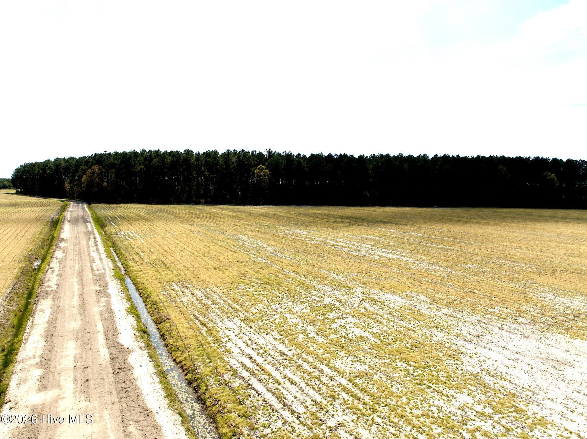 0 Mingle Road Gates, NC 27937 - Photo 22 of 33 109.79 ac - 15