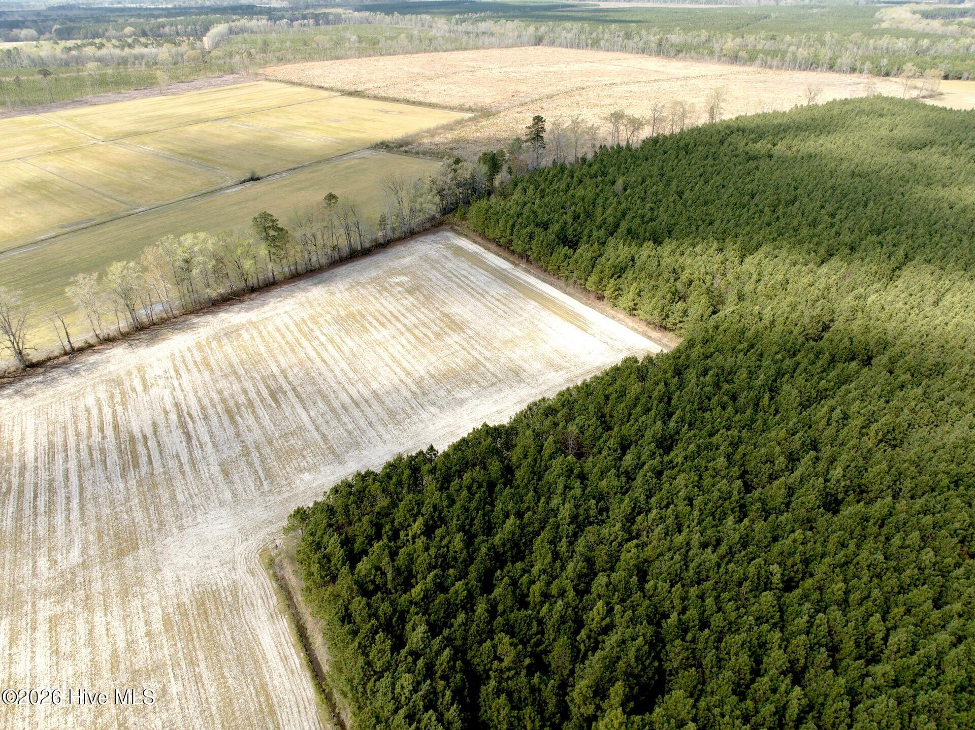 0 Mingle Road Gates, NC 27937 - Photo 24 of 33 109.79 ac - 22