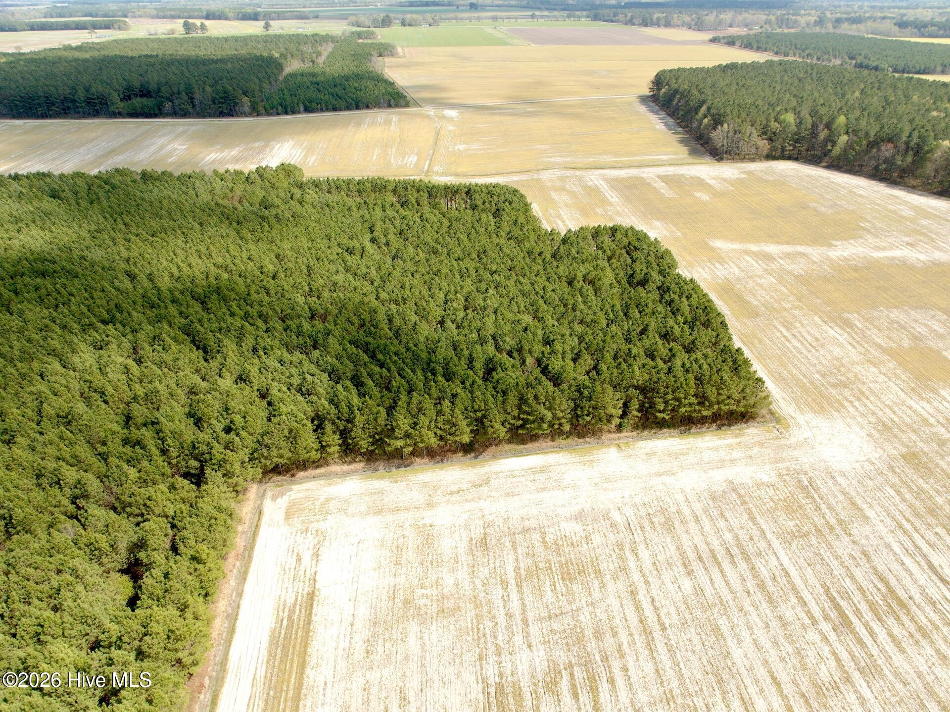 0 Mingle Road Gates, NC 27937 - Photo 25 of 33 109.79 ac - 25